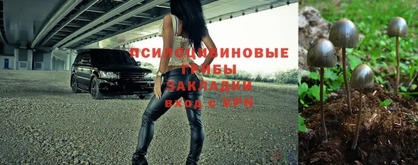 прущие грибы Лиски