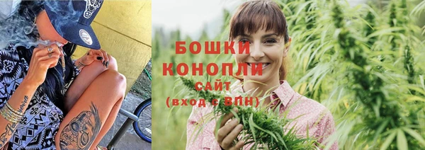 прущие грибы Лиски